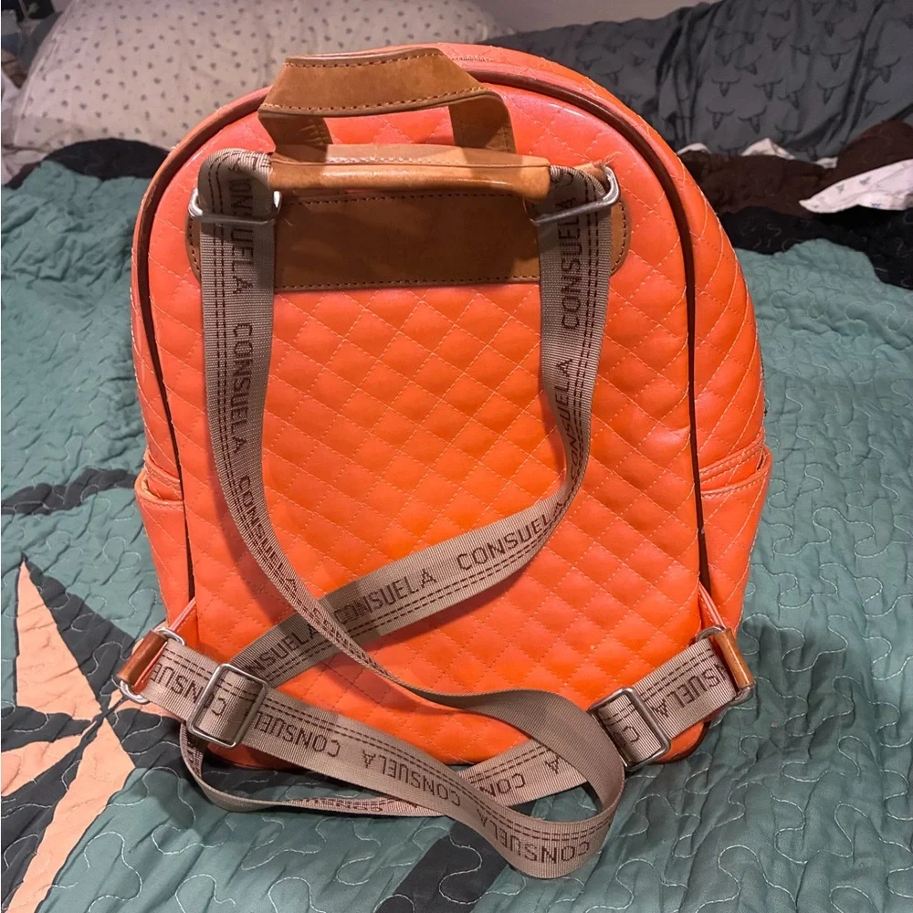 Consuela stylish longchamp